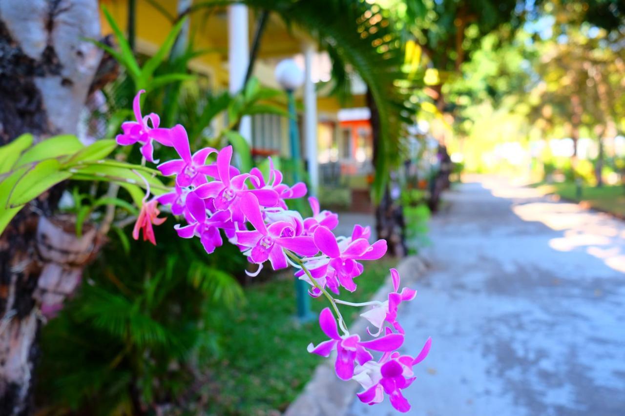 New Travel Beach Hotel & Resort Chao Lao Beach Buitenkant foto